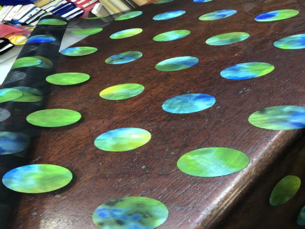 Flok dijital  enpirme 301